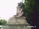 PHOT0005