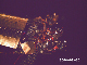 PHOT0008