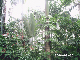 PHOT0015