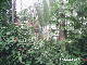PHOT0016