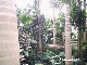 PHOT0017