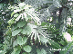 PHOT0019