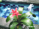 PHOT0020