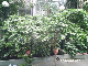 PHOT0026