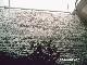 PHOT0037