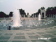 PHOT0085