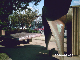 PHOT0014