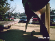 PHOT0015
