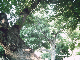 PHOT0049