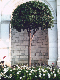 PHOT0065_edited-2