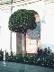 PHOT0066_edited-1