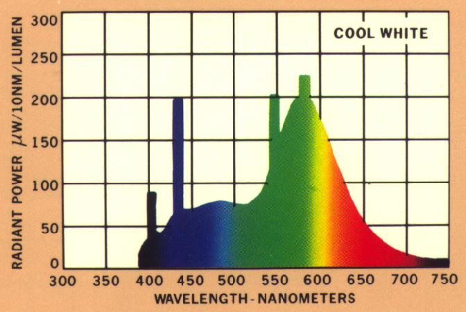 coolwhite.jpg