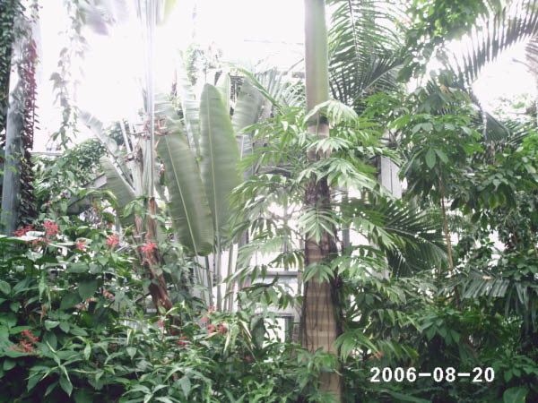 PHOT0015