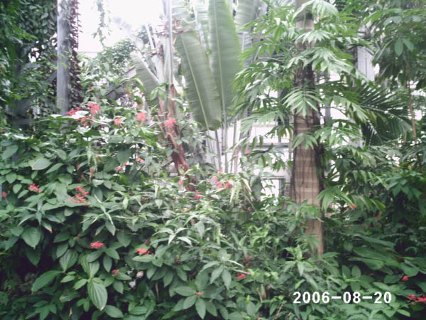 PHOT0016