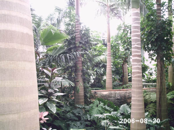 PHOT0017