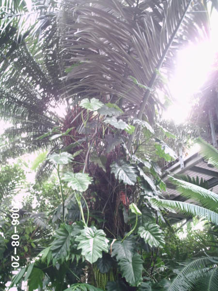 PHOT0018_edited-1