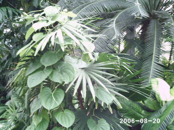 PHOT0019