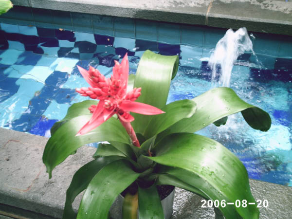 PHOT0020