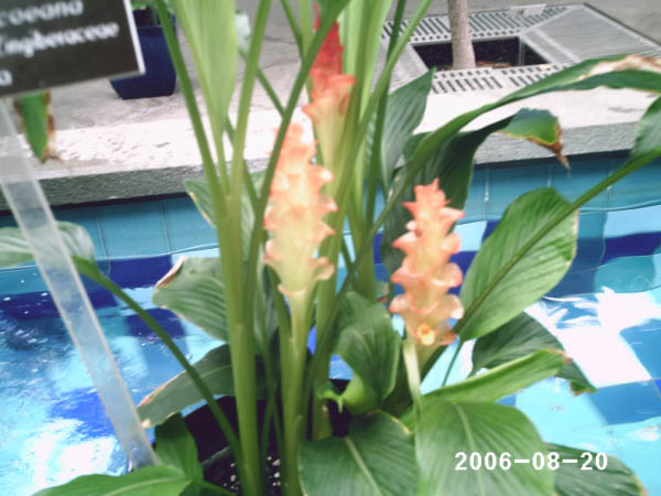 PHOT0021