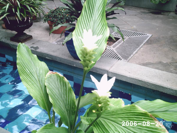 PHOT0022