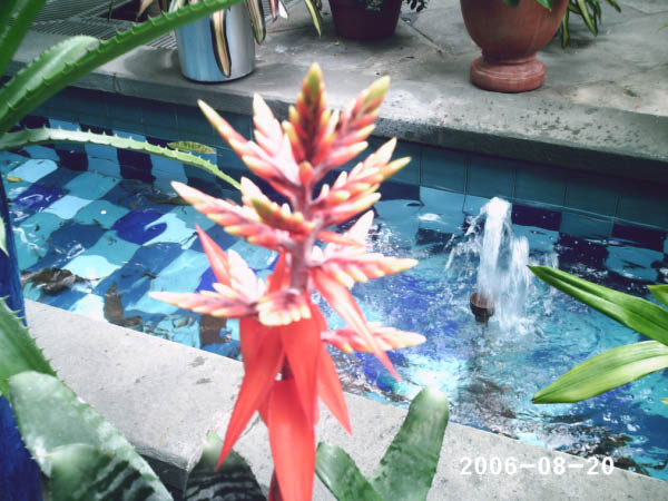 PHOT0024