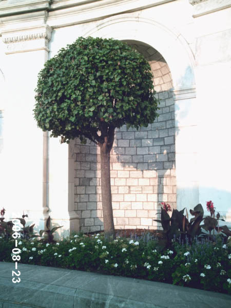 PHOT0066_edited-1