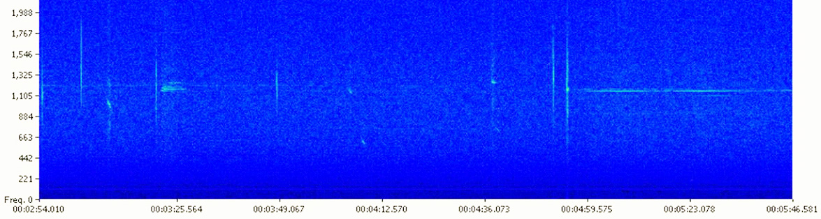 Meteor Activity